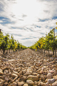 galet-chateauneuf-retouch
