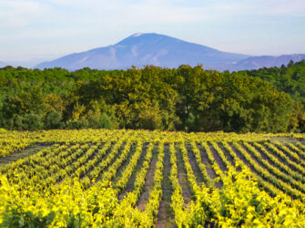 paysage-ventoux-3