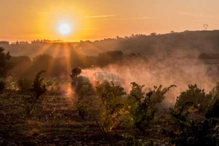 tracteur-soleil-1